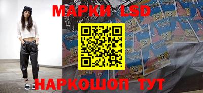 гашик Малгобек