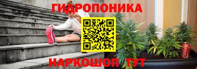 гашик Малгобек