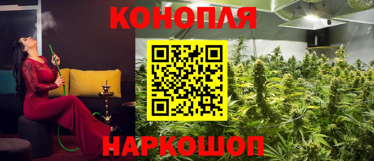 Гатчина  Шишки марихуана гибрид  Конопля White Widow  Бошки Шишки тримм  Бошки Шишки планчик  Вход с VPN 